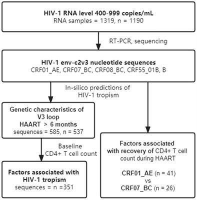 HIV-1 tropism in low-level viral load HIV-1 infections during HAART in Guangdong, China